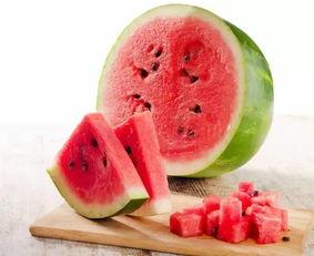 广州海上吃瓜视频,一场别开生面的海上美食盛宴