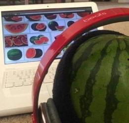 吃瓜看瓜视频大全,全网热门吃瓜看瓜视频大盘点