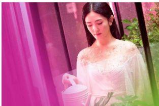 谢娜吃瓜视频在线观看,揭秘娱乐圈幕后故事