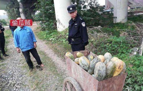 镇平四大吃瓜事件真相视频,真相背后的惊人内幕